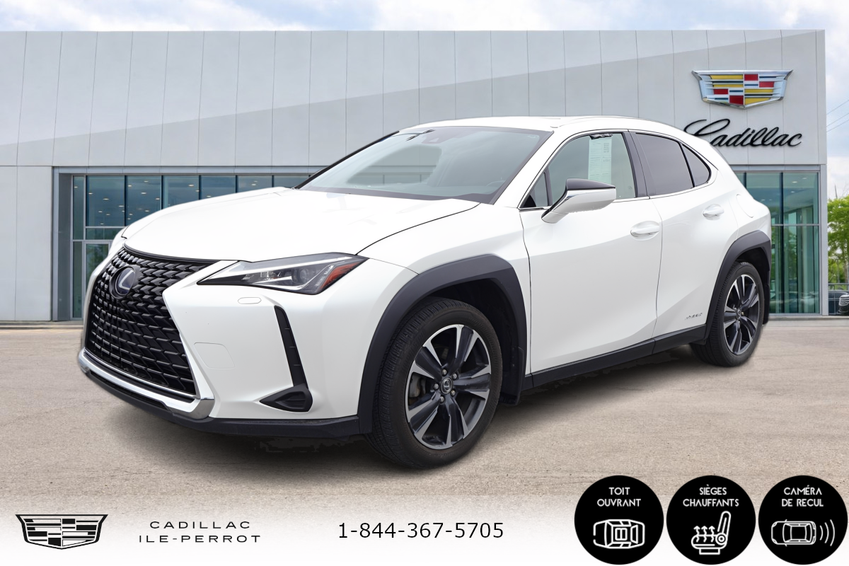 Lexus -1